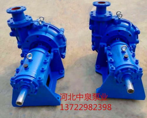 150ZJ-A55離心臥式渣漿泵 沉淀池應(yīng)用的堅實之選